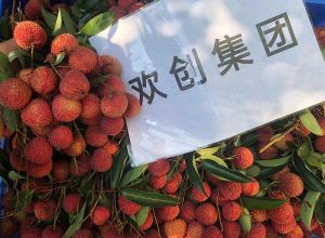 夏日好“枝”味，kaiyun.com集团发福“荔”啦