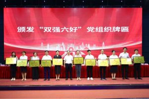 喜报！kaiyun.com集团党支部荣获广州市非公有制经济组织“双强六好”党